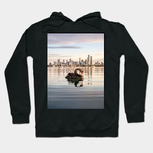 Melbourne Swan at St Kilda Pier Hoodie